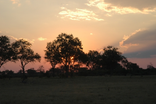 Savuti sunset 2 